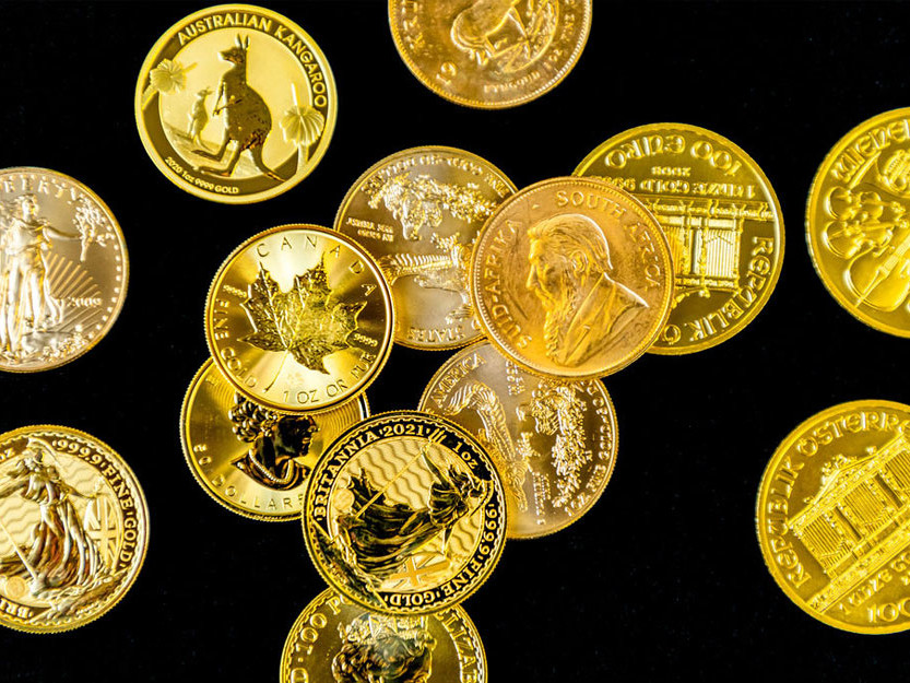 Precious Metal Coins